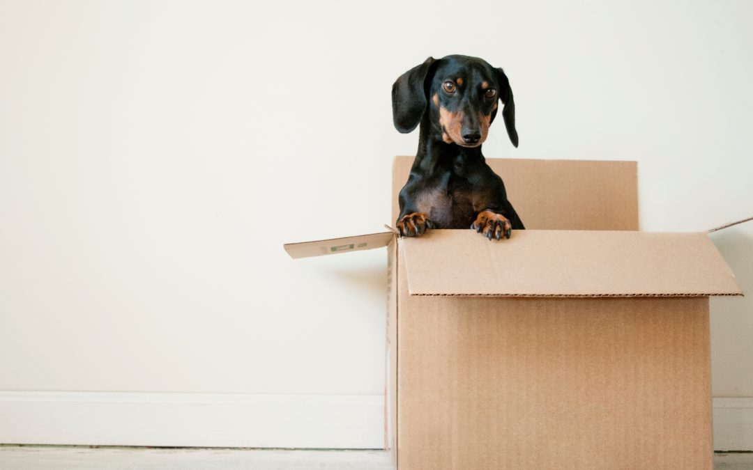 7 Items To Leave Behind On Moving Day